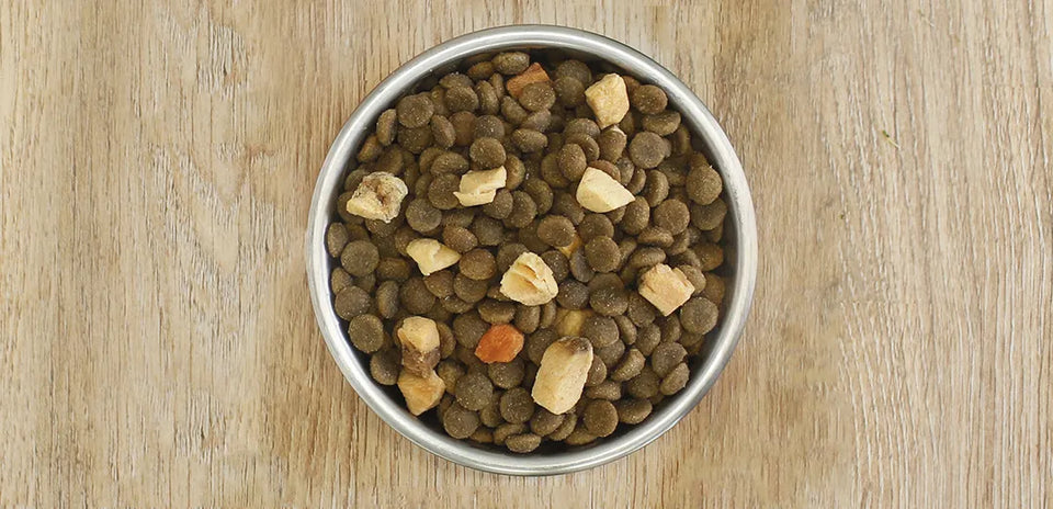 Benefits of freeze-dried meat and kibble