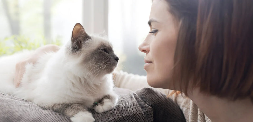 Are you a cat person? Here’s how to tell