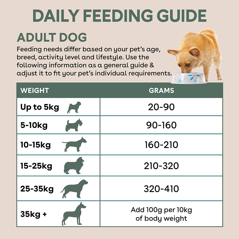 Freeze-Dried Raw-Coated Kibble Chicken & Turkey for Adult Dogs