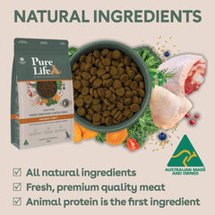 Freeze-Dried Raw-Coated Kibble Chicken & Turkey for Adult Dogs