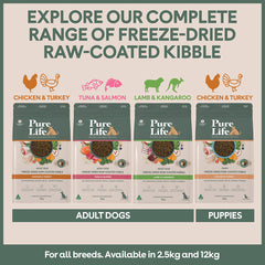 Freeze-Dried Raw-Coated Kibble Chicken & Turkey for Adult Dogs