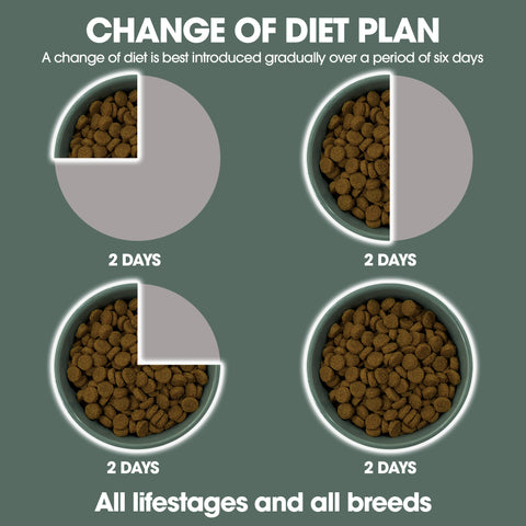 Freeze-Dried Raw-Coated Kibble Lamb & Kangaroo for Adult Dogs