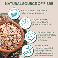 Freeze-Dried Raw-Coated Kibble Tuna & Salmon for Adult Dogs