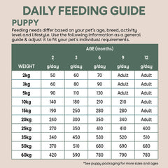 Freeze-Dried Raw-Coated Kibble Chicken & Turkey for Puppies