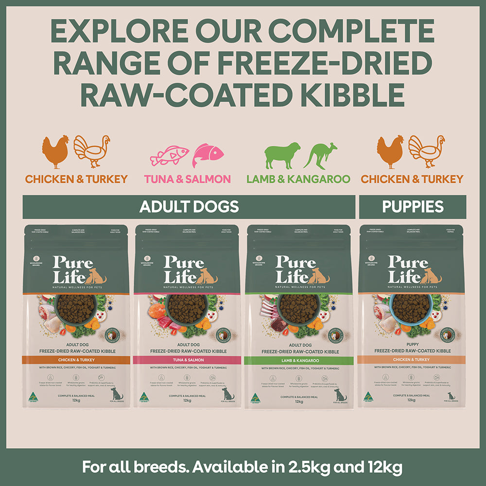 Freeze-Dried Raw-Coated Kibble Chicken & Turkey for Puppies