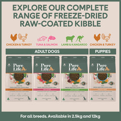 Freeze-Dried Raw-Coated Kibble Chicken & Turkey for Puppies