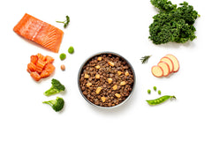 Tasmanian Salmon for Puppies